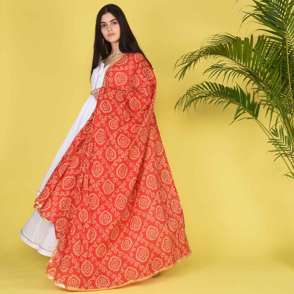 products/Catalog-1207.jpg